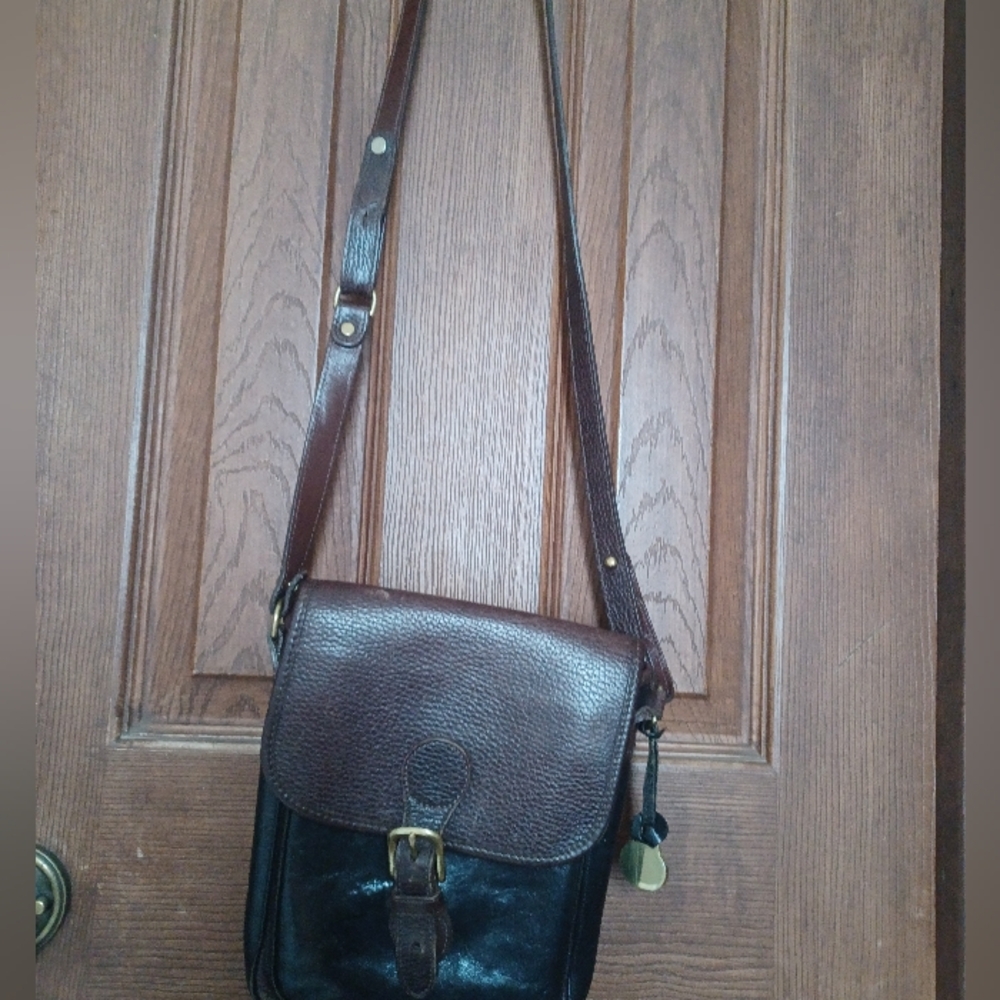 Brahmin Brown and Black Leather Bag